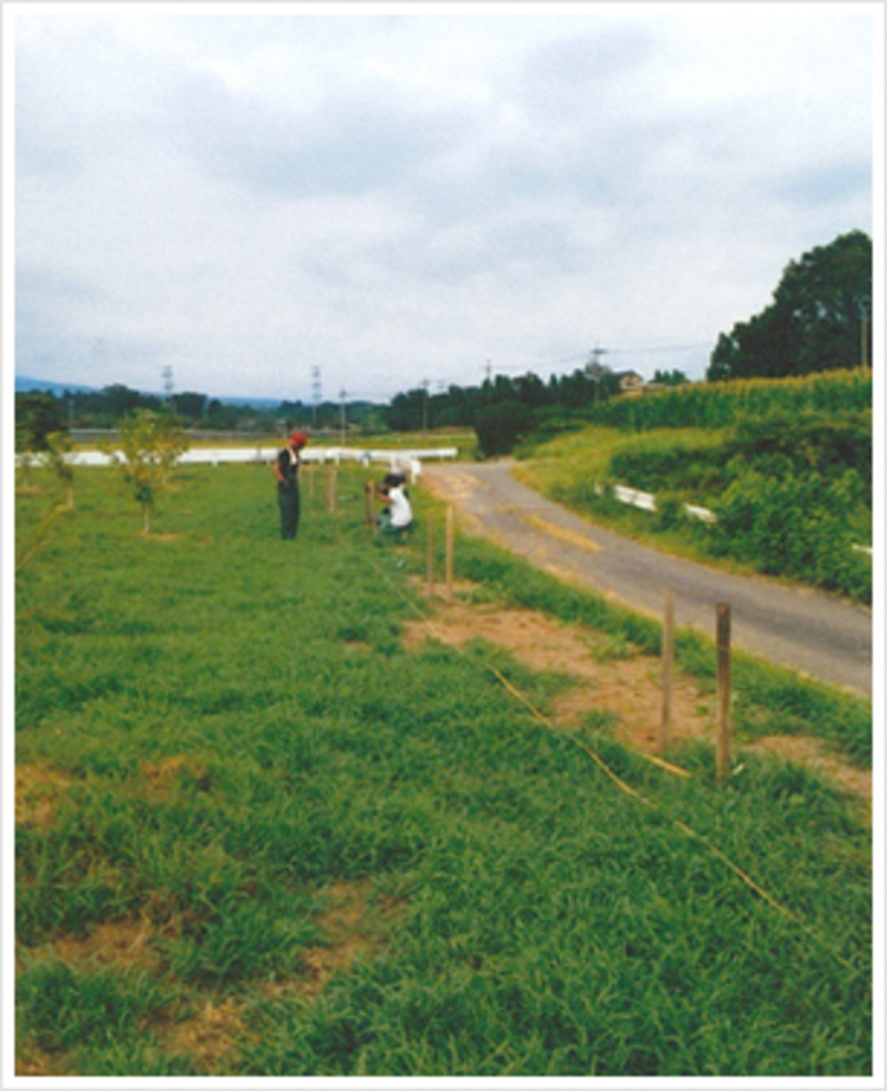 北杜市白州町のサムネイル