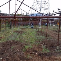 山梨県韮崎市A様　解体のサムネイル